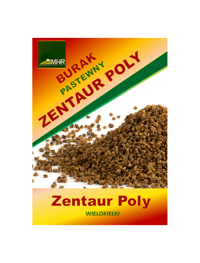 Nasiona buraka pastewnego - Zentaur Poly