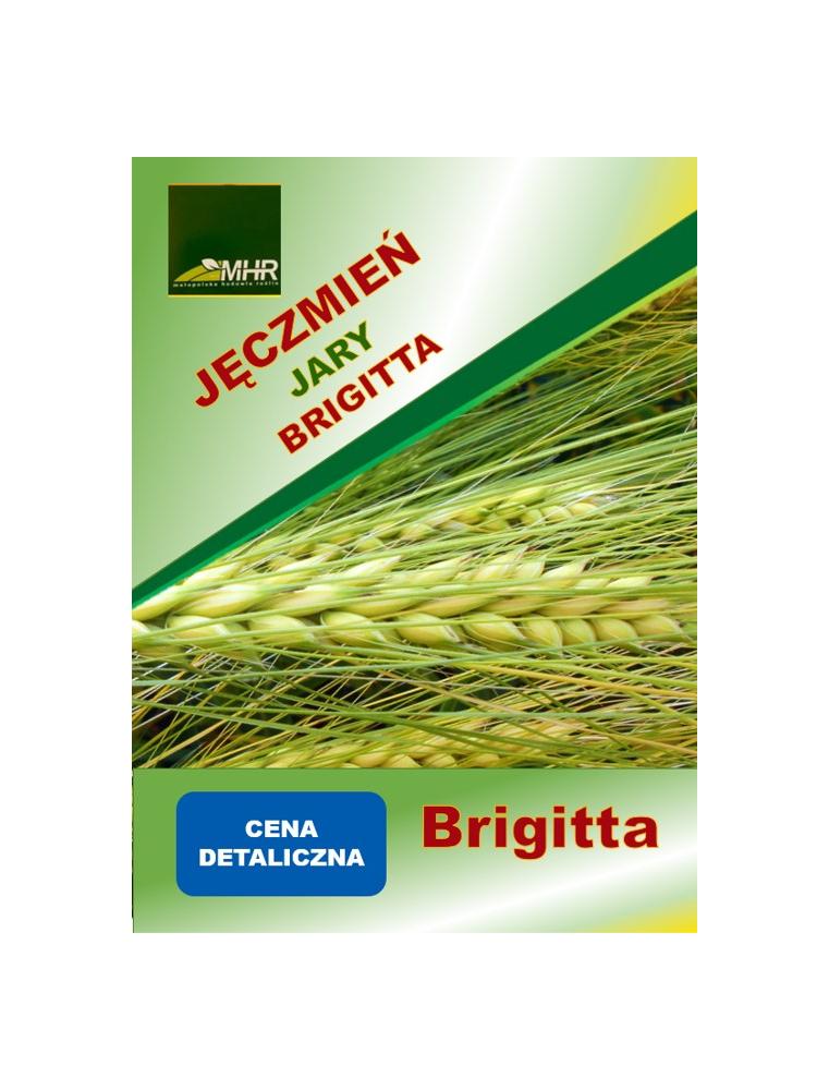Nasiona jęczmienia jarego Brigitta a'50