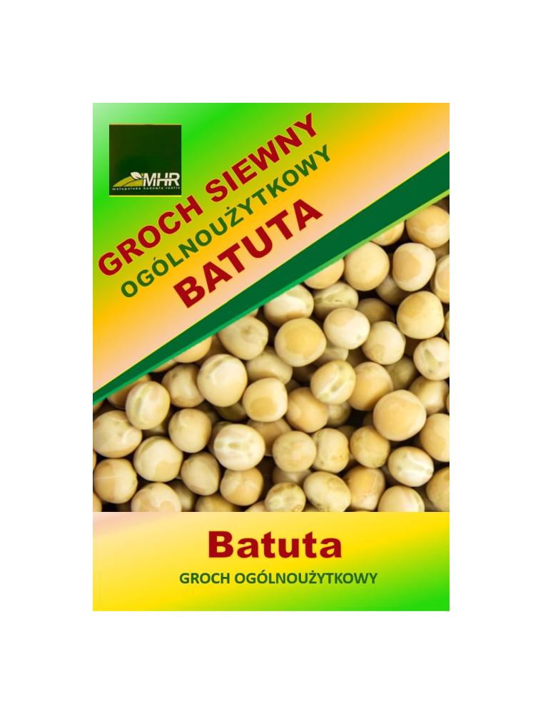 Nasiona grochu siewnego ogólnoużytkowego -Batuta