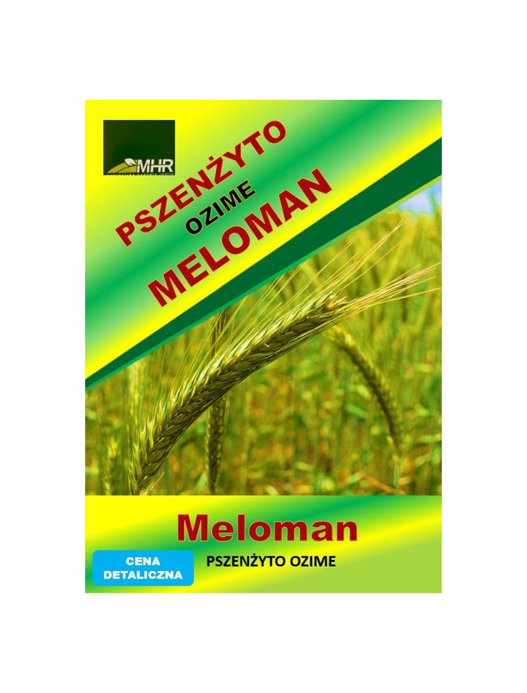 Nasiona pszenżyta ozimego – MELOMAN