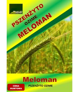 Nasiona pszenżyta ozimego - MELOMAN