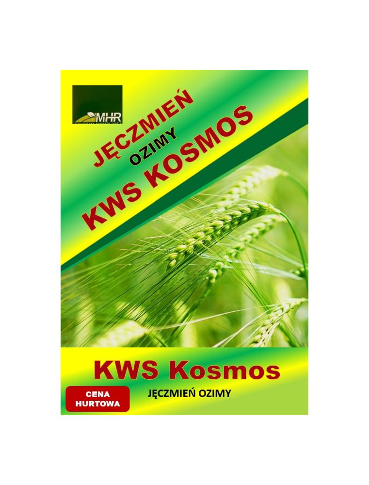 Nasiona jęczmienia ozimego KWS KOSMOS