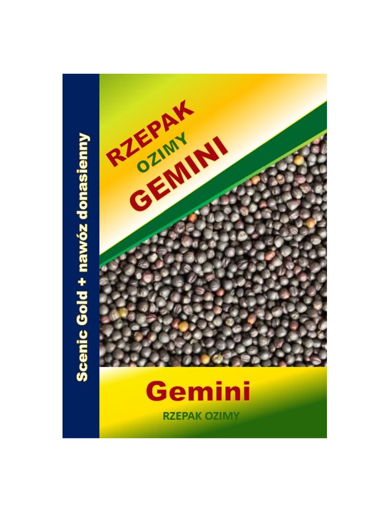 Nasiona rzepaku ozimego GEMIN