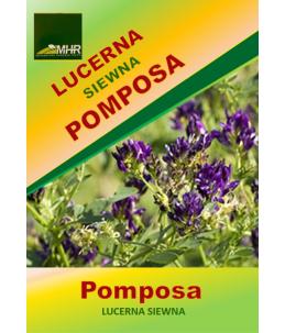 Nasiona Lucerny siewnej Pomposa