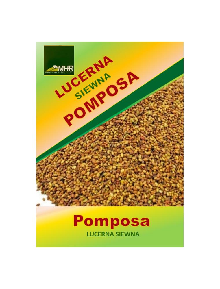 Nasiona Lucerny siewnej Pomposa