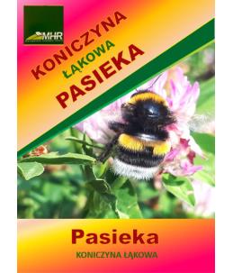 Nasiona koniczyny łąkowej- PASIEKA- ulotka