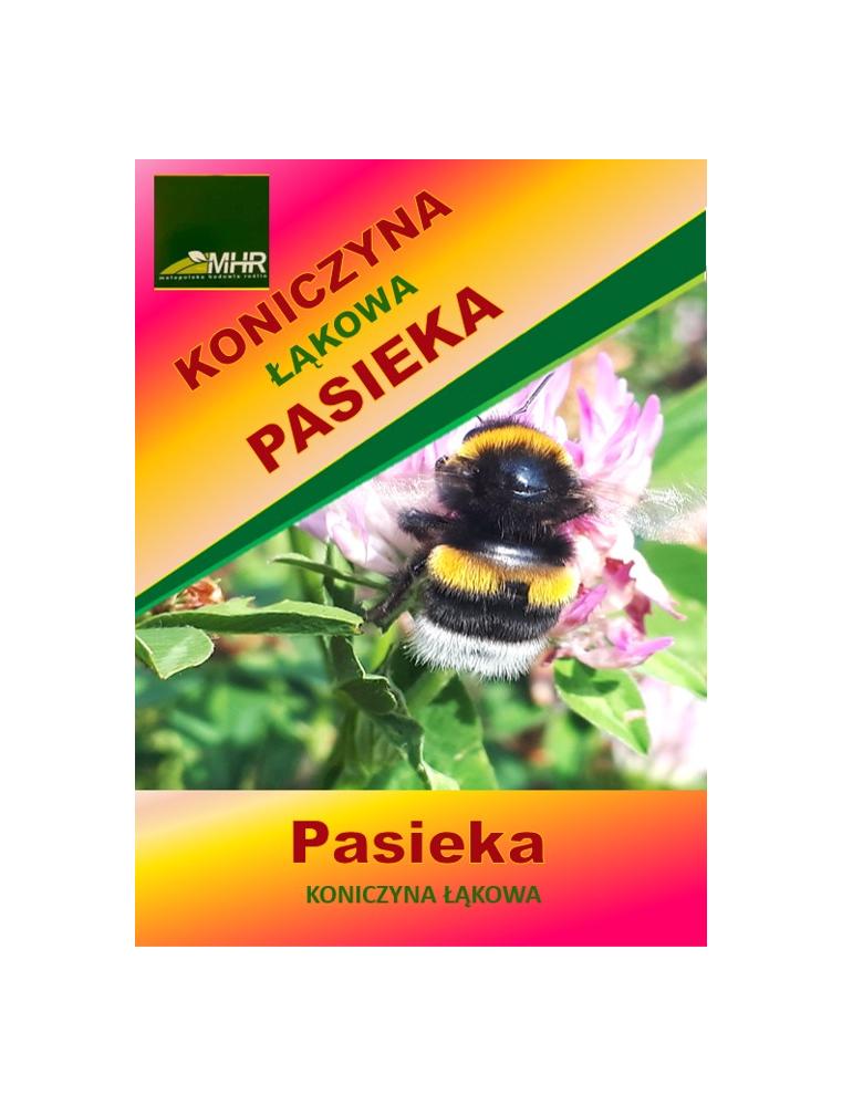 Nasiona koniczyny łąkowej- PASIEKA- ulotka