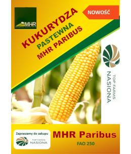 Nasiona kukurydzy pastewnej MHR Paribus