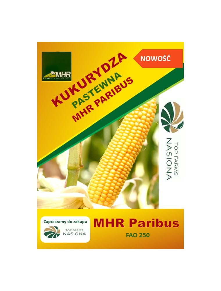 Nasiona kukurydzy pastewnej MHR Paribus