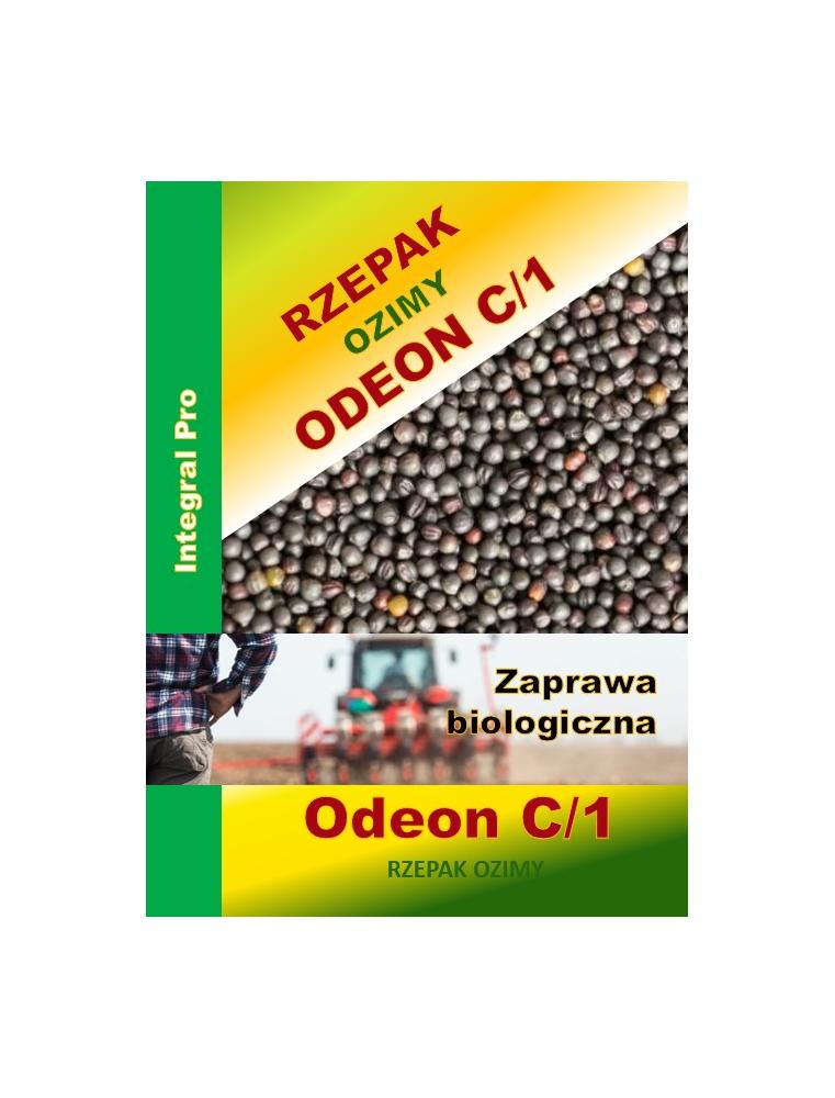 Nasiona rzepaku ozimego Odeon