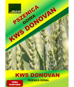 Nasiona pszenicy ozimej - KWS DONOVAN