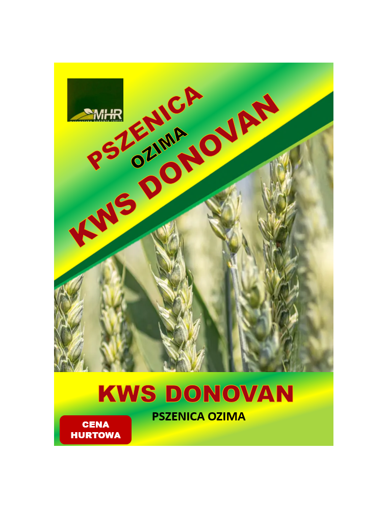 Nasiona pszenicy ozimej - KWS DONOVAN