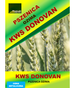 Nasiona pszenicy ozimej-KWS Donovan