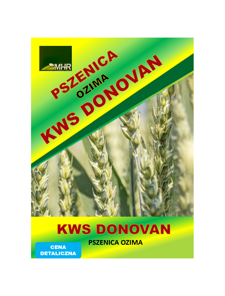 Nasiona pszenicy ozimej-KWS Donovan