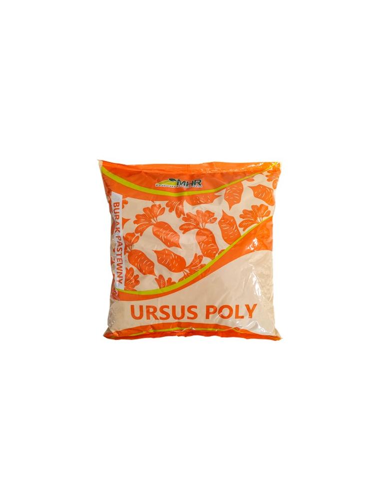 Buraki wielokiełkowe - Ursus Poly-opakowanie