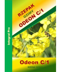 Nasiona rzepaku ozimego Odeon