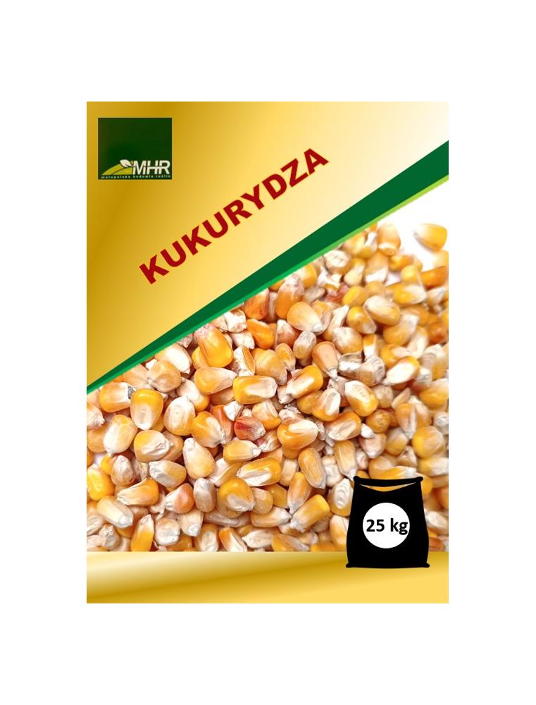 nasiona kukurydzy