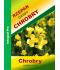 Nasiona rzepaku ozimego CHROBRY- integral pro