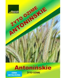 Nasiona żyta ozimego - ANTONIŃSKIE j.s.