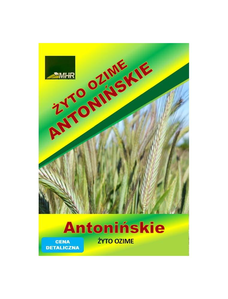 Nasiona żyta ozimego - ANTONIŃSKIE j.s.