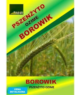 Nasiona pszenżyta ozimego – BOROWIK