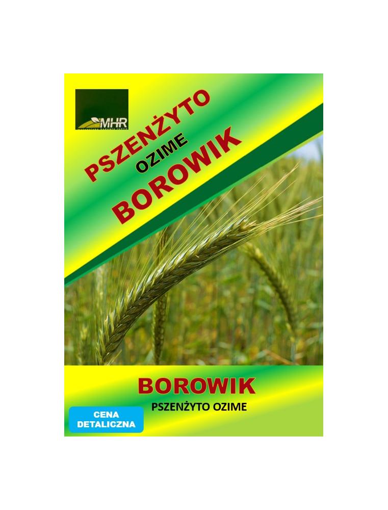 Nasiona pszenżyta ozimego – BOROWIK
