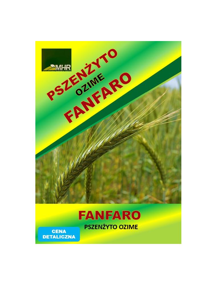 Nasiona pszenżyta ozimego – FANFARO a'50