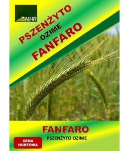 Nasiona pszenżyta ozimego – FANFARO  hurt( od tony)