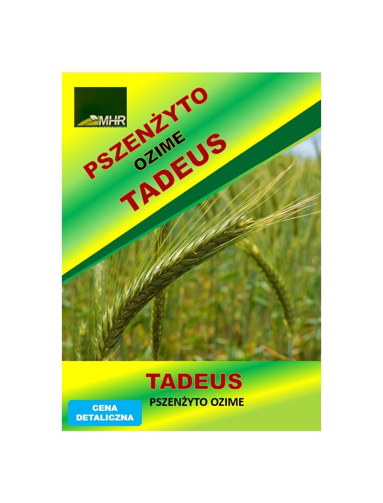 Nasiona pszenżyta ozimego – TADEUS a'50