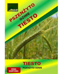 Nasiona pszenżyta ozimego – TIESTO