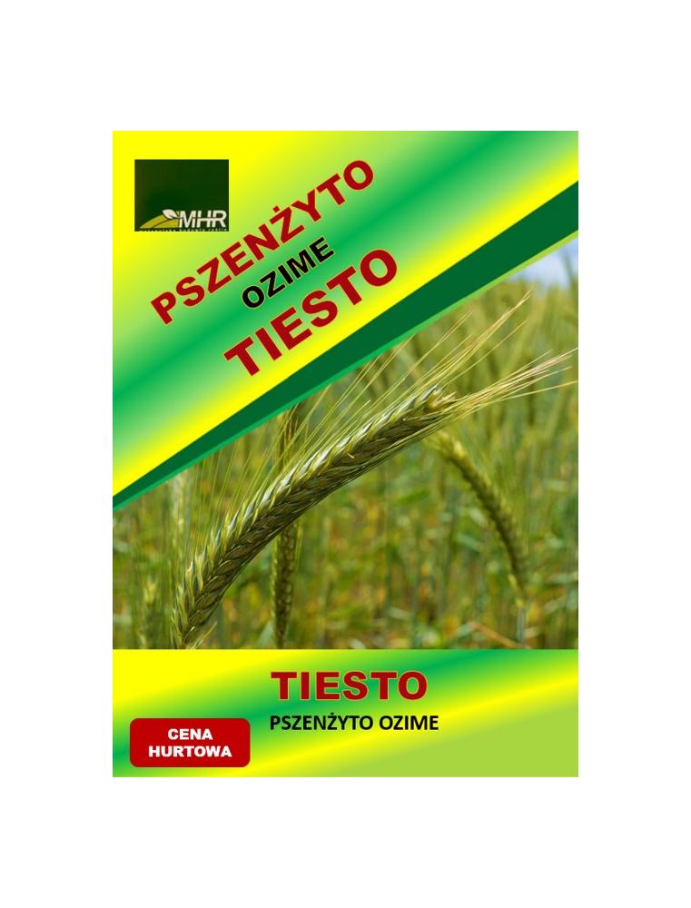 Nasiona pszenżyta ozimego – TIESTO