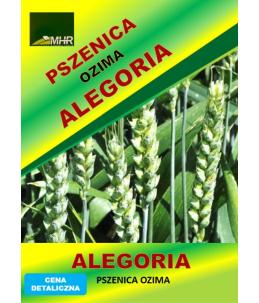 Nasiona pszenicy ozimej - ALEGORIA