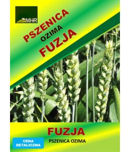 Nasiona pszenicy ozimej - FUZJA