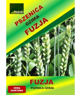 Nasiona pszenicy ozimej - FUZJA