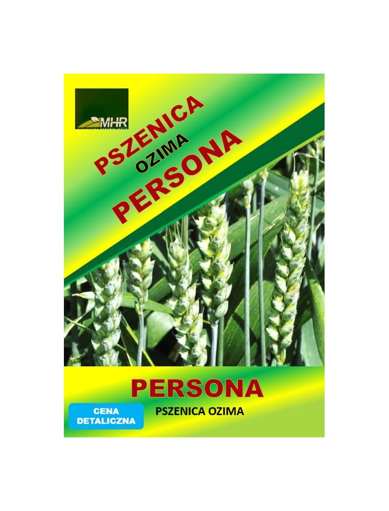 Nasiona pszenicy ozimej - PERSONA a'50