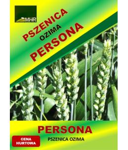 Nasiona pszenicy ozimej - PERSONA