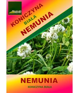 Nasiona koniczyny białej NEMUNIA