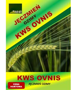 Nasiona jęczmienia ozimego – KWS OVNIS hurt (od 1 tony)