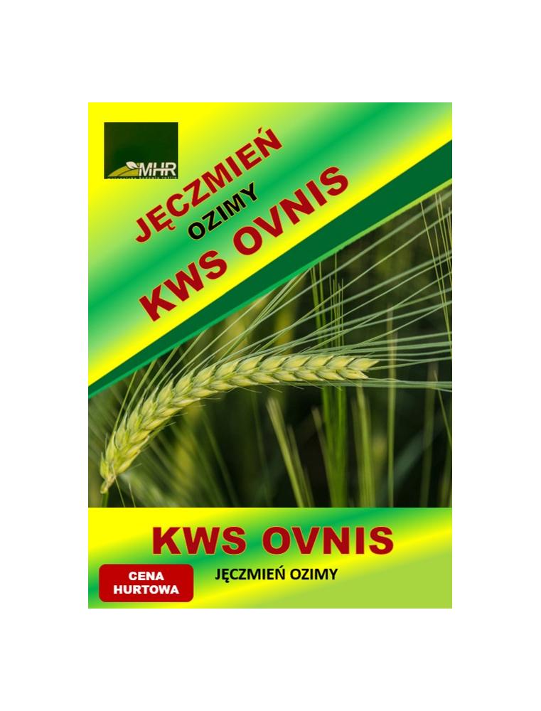 Nasiona jęczmienia ozimego – KWS OVNIS hurt (od 1 tony)