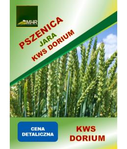 Nasiona pszenicy jarej KWS Dorium