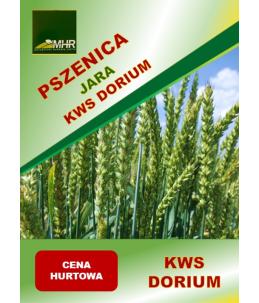 Nasiona pszenicy jarej KWS Dorium