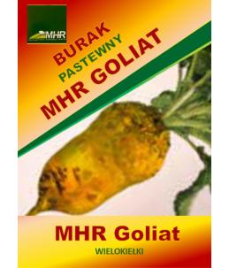 Nasiona buraka pastewnego - MHR Goliat