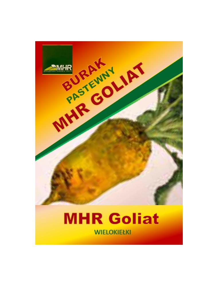 Nasiona buraka pastewnego - MHR Goliat