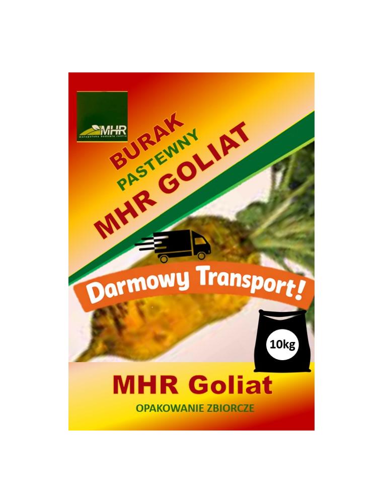 Nasiona buraka pastewnego - MHR Goliat- opakowanie zbiorcze