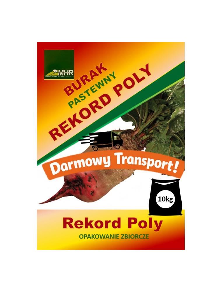 Nasiona buraka pastewnego - Rekord Poly- opakowanie zbiorcze