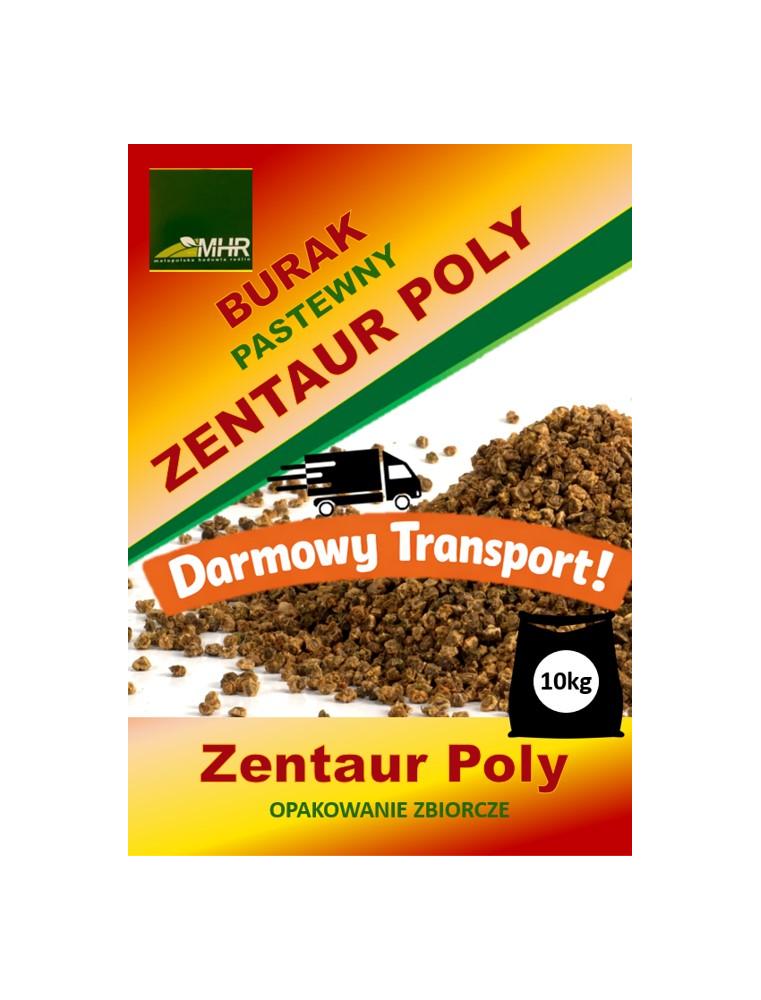 Nasiona buraka pastewnego - Zentaur Poly-opakowanie zbiorcze