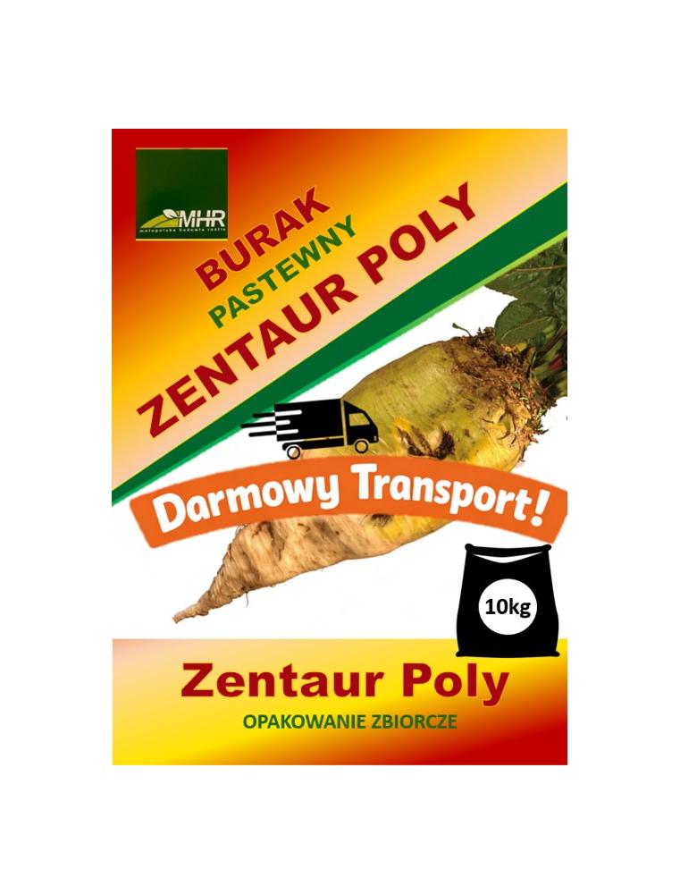 Nasiona buraka pastewnego - Zentaur Poly-opakowanie zbiorcze