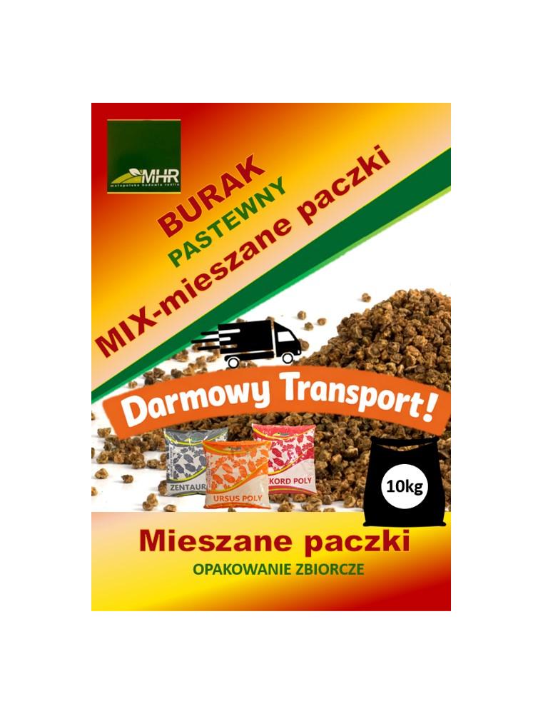 Nasiona buraka pastewnego - MIX-opakowanie zbiorcze