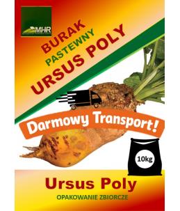 Nasiona buraka pastewnego - Ursus Poly-opakowanie zbiorcze