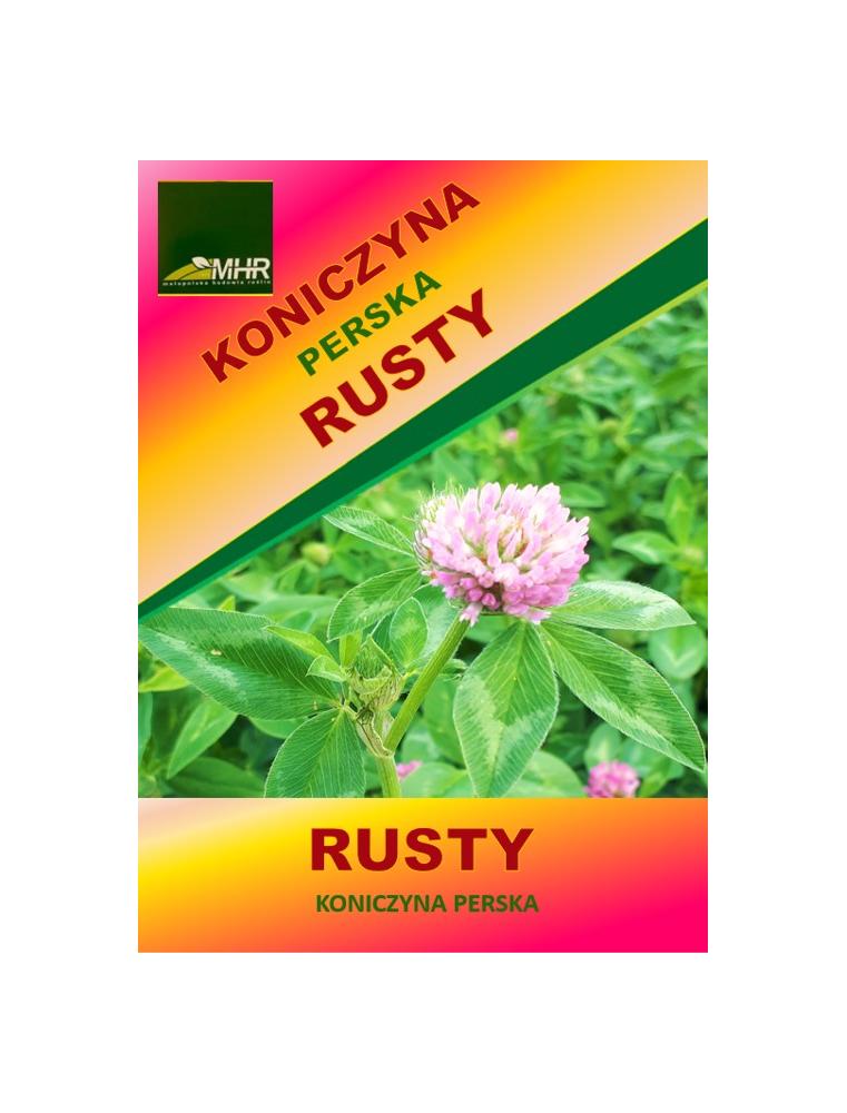 Nasiona koniczyny perskiej- Rusty